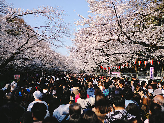 UENO Sta.