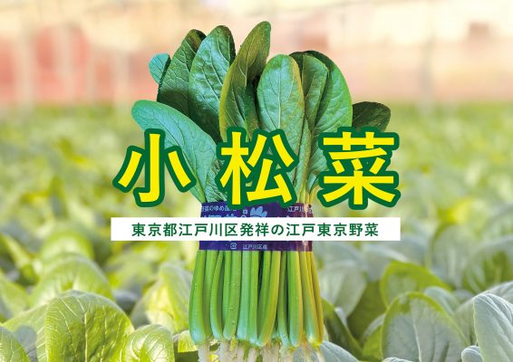 ヴェルデュール＆中国料理 竹園【江戸東京野菜･小松菜を使用した料理をご提供】