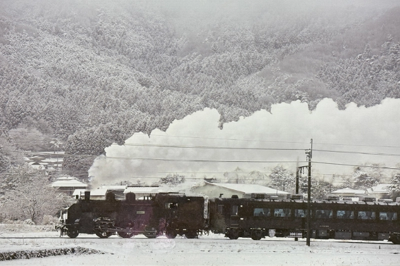 SL大樹のある風景 最優秀賞「白銀の世界」