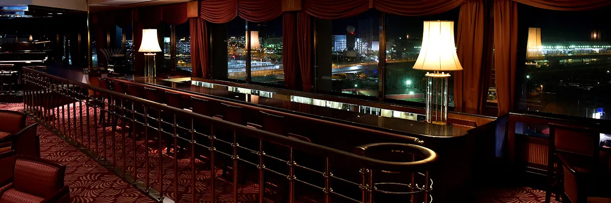 スカイバー ウインドウズ