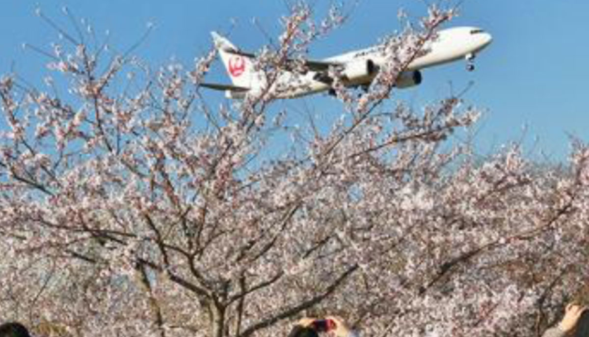 Sakura-no-Yama Park