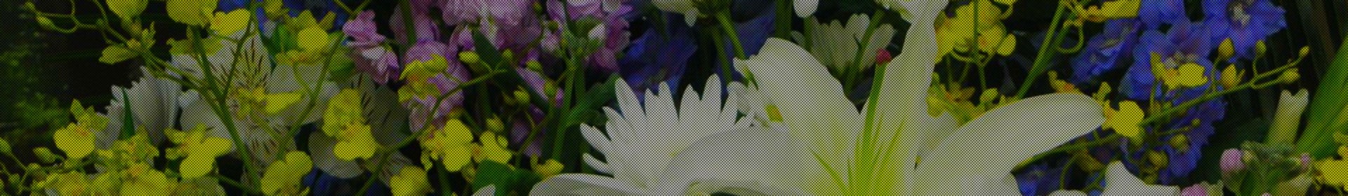 法事会食プラン