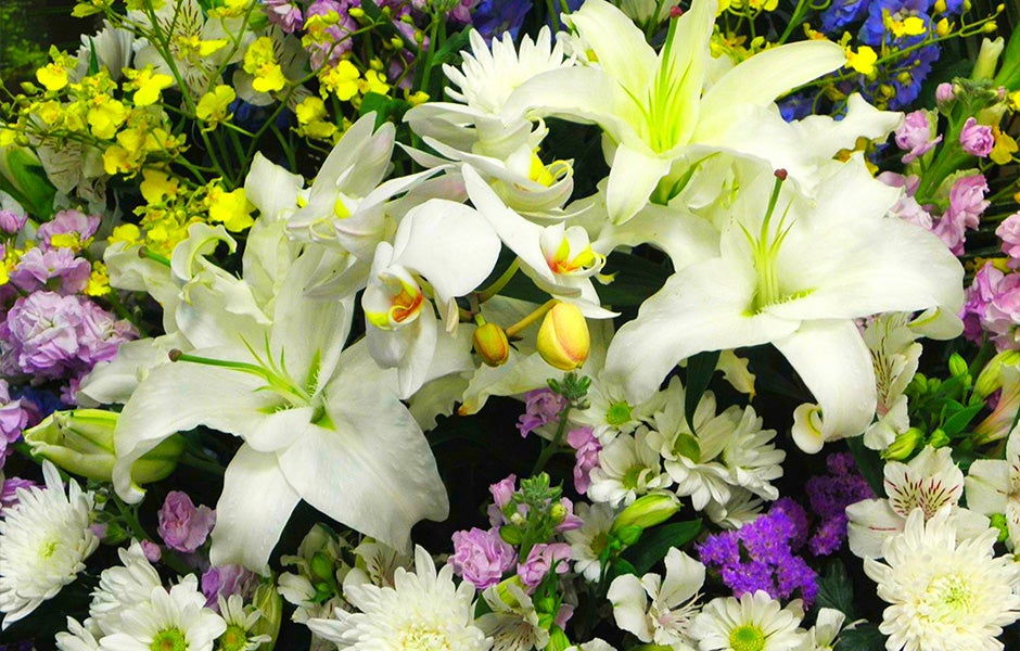 法事会食プラン