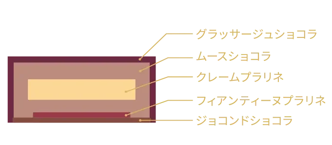 ムース・オ・ショコラ・ノワゼット 断面図