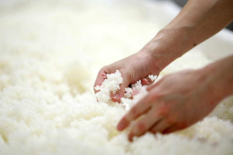 特別企画｜日本酒「獺祭」と会席を愉しむ会