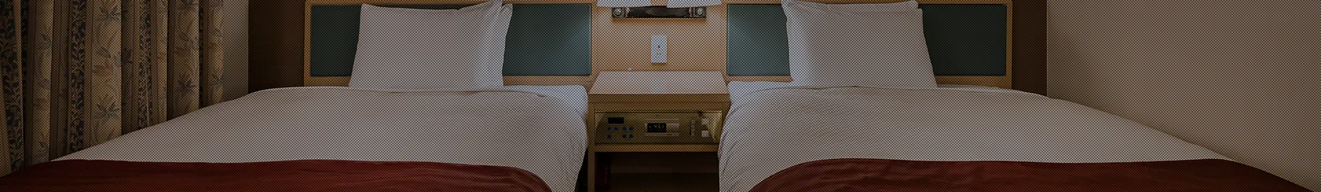 ツイン